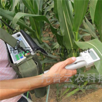 植物光合作用仪光合作用测量仪